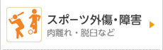 スポーツ外傷・障害　肉離れ・脱臼など