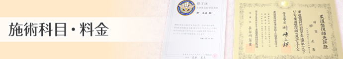 交通事故　施術科目・料金