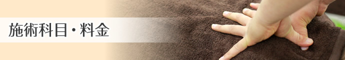 慢性疾患　施術科目・料金