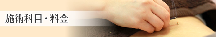 女性疾患　施術科目・料金