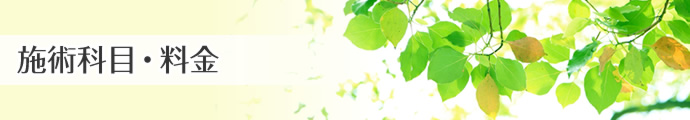 マタニティケア　施術科目・料金