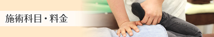 スポーツ外傷・障害 施術科目・料金